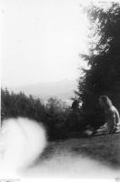 AP679