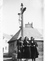 AQ205