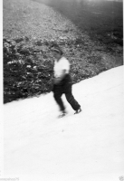 AQ689