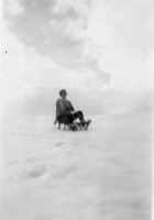 AR312