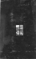 AR313