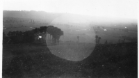 AR389