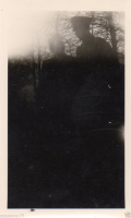 AR544
