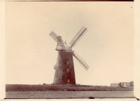 AU194