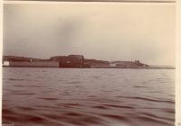 AU196