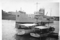 AU391