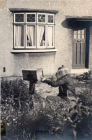 AV428
