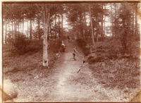 AV587