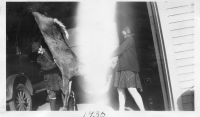 AW683