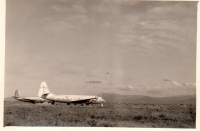 AY231