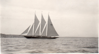 AY261