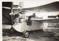 AY519
