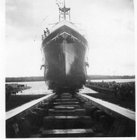 AY952