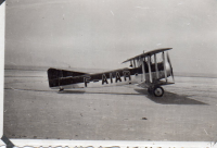 AZ295
