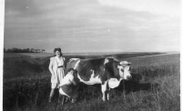 AZ402