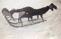 AZ989