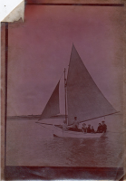 BC037