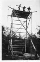BD017