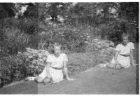 BD176