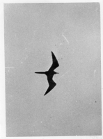 BE390