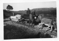BF094