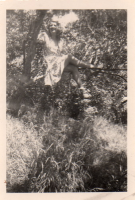 BF667