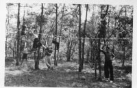 BG606