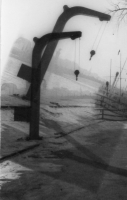 BH050