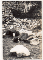 BH223