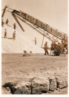 BH225