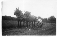 BL912