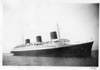 BN010