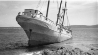 BN740