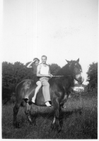 BO184