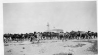BP577