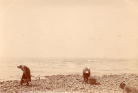 BP803