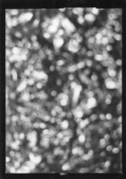 BQ377