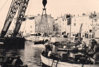 BR221