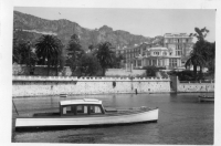 BR230