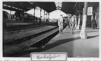 BR336