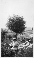 BR870