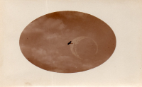 BS315