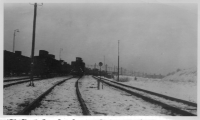 BS384