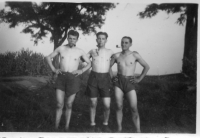 BT735