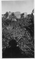 BV129