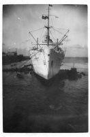 BV366