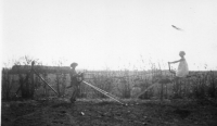 BV577