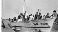 BV778