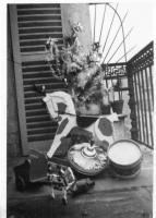 BW211