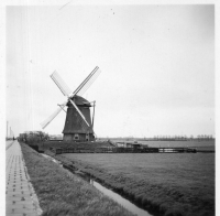 BW241